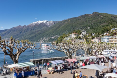 Ascona 01