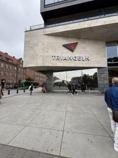 IMG 8800